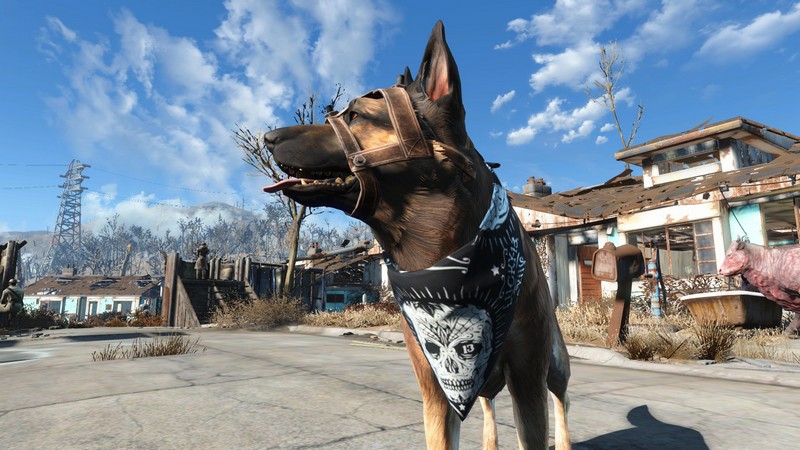 fallout 4 what can dogmeat wear
