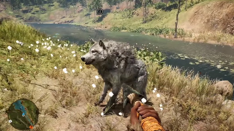 5 волков игры. Far Cry игра приручение животных.