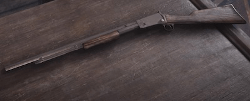 varmint-rifle